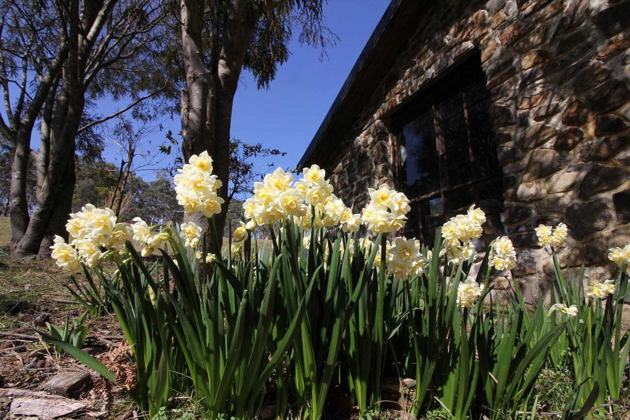 The Great House Bnb Buckland Εξωτερικό φωτογραφία